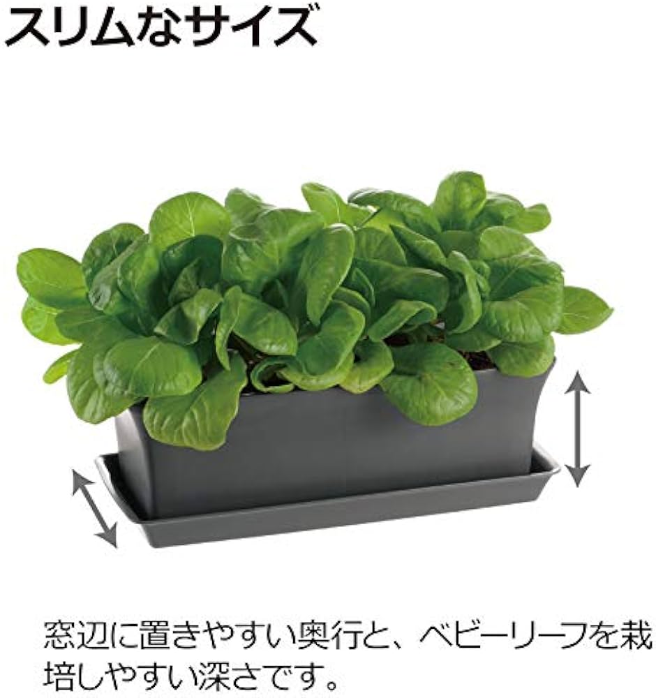 ベイビーリーフ BIBS x LIBERTY Pacifier Clip - Capel Sage